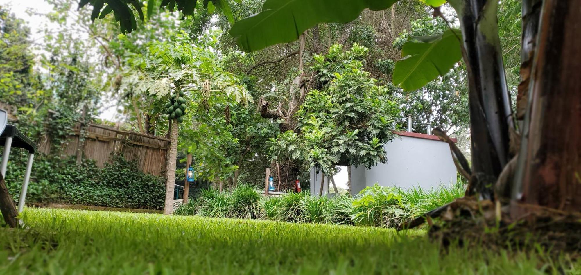 Kizumba House Hostel อารูชา ภายนอก รูปภาพ